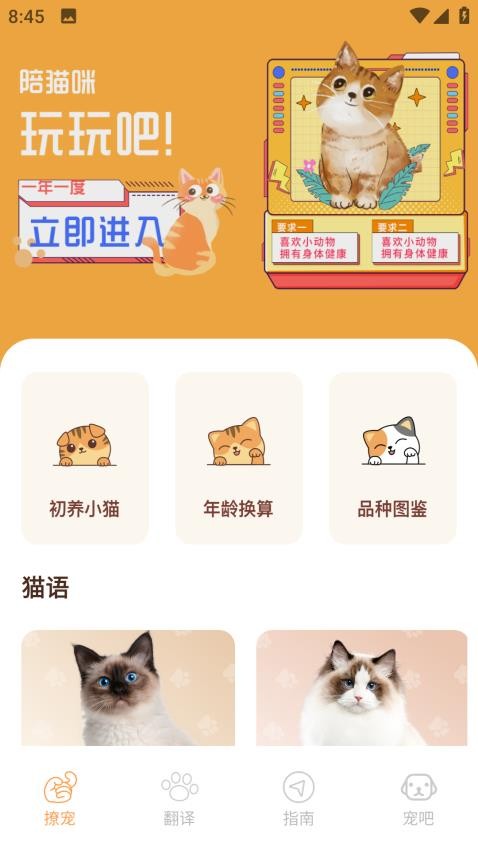 Peppycat猫语翻译器官网版