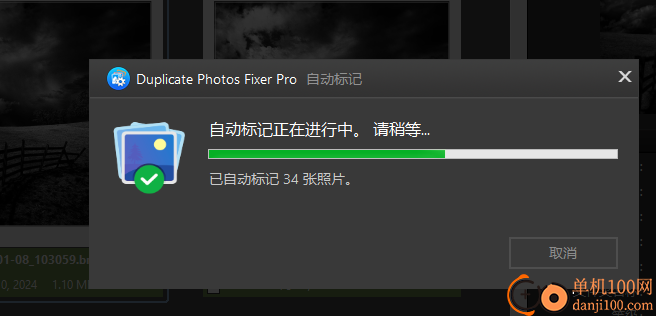 Duplicate Photos Fixer Pro(重復圖像刪除軟件)