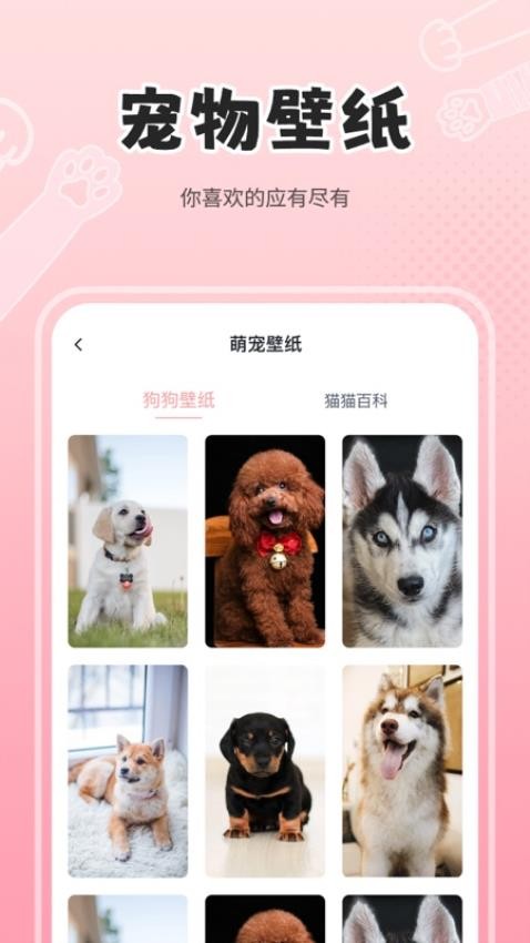 人狗猫交流器app手机版v2.4 1