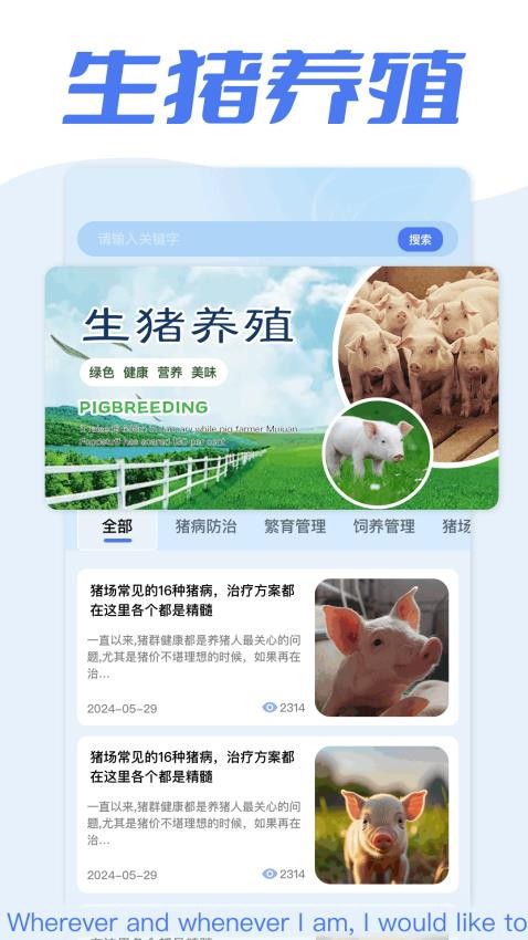 全民养猪场app(3)