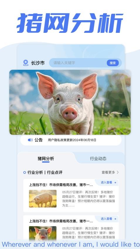 全民养猪场app(1)