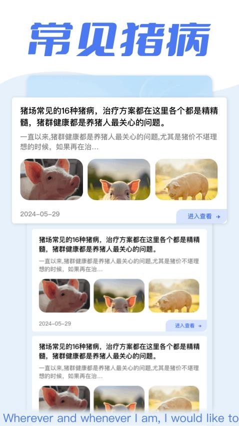 全民养猪场app(2)