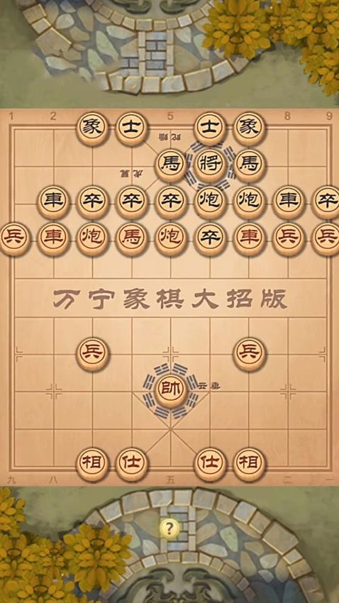 疯狂的象棋游戏v1.0 2