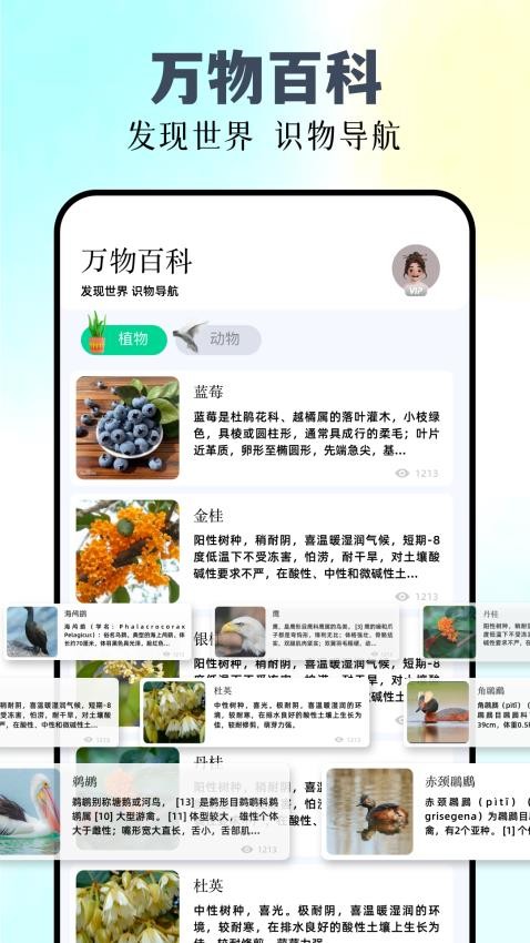 万能拍照识物免费版v1.1 3