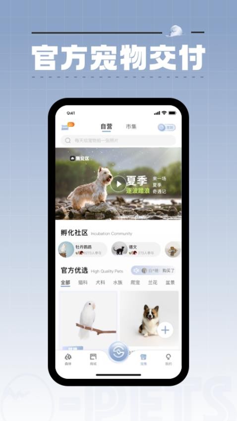 集宠区官方版v3.6.0 4