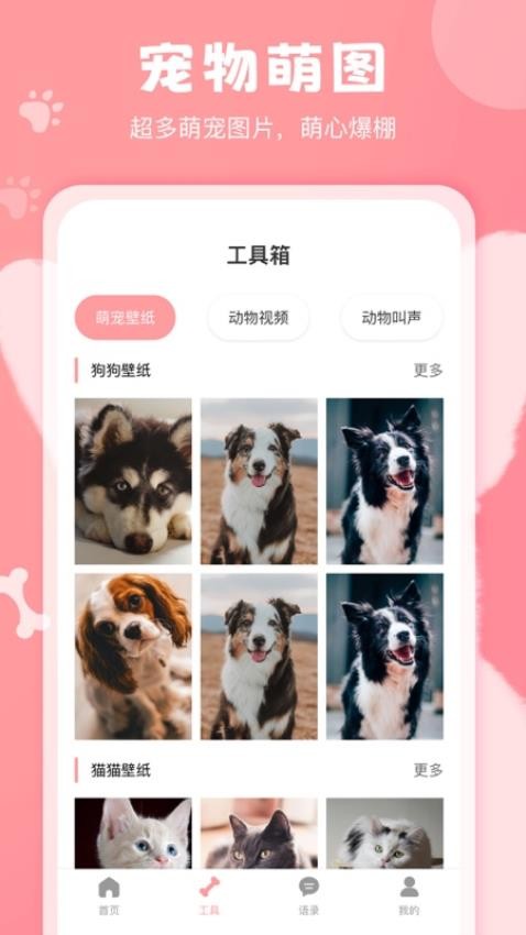 狗语翻译器appv2.2(1)