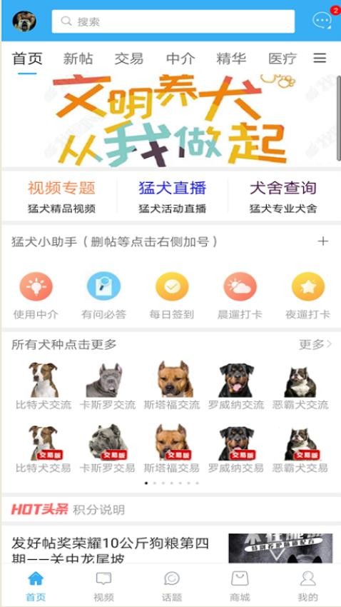 猛犬俱樂部官方版