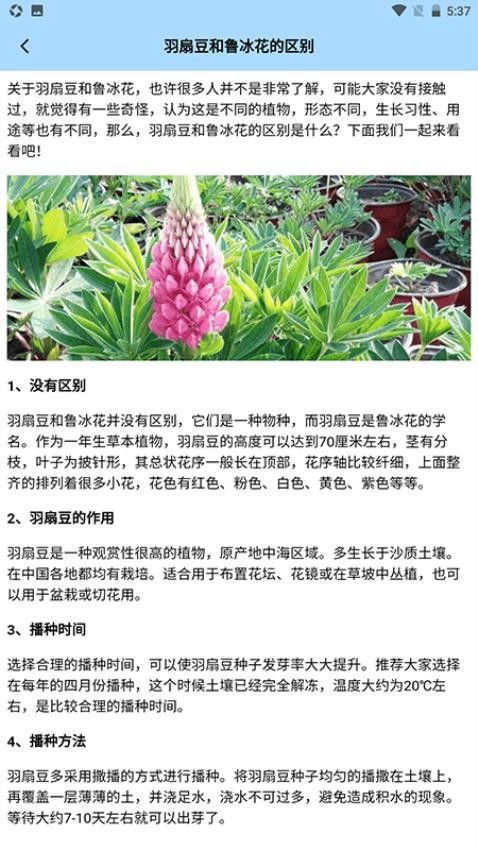 我要教你开花店免费版(3)