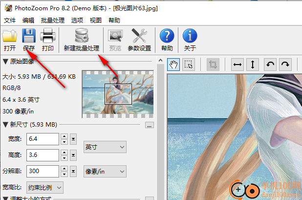 Benvista PhotoZoom Pro(图片无损放大工具)