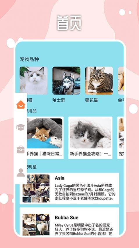 密聊猫咪最新版v1.3 4