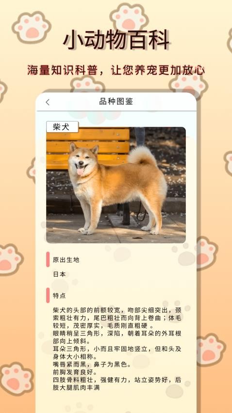 动物森林APP免费版v1.0.0 2