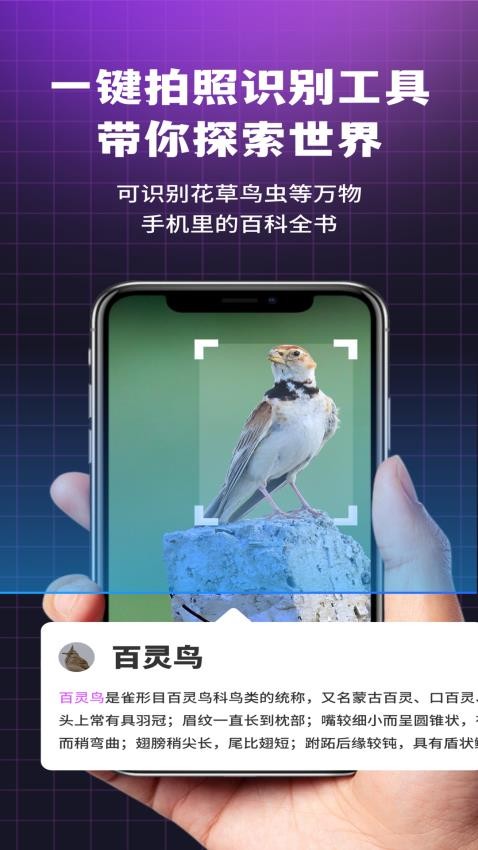 i浏览器无痕版客户端v4.1.0 2