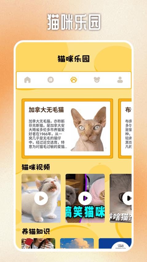 人猫交流翻译器免费版v1.3(4)