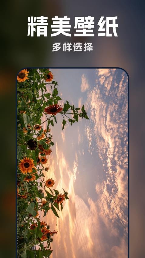 AI壁纸酷最新版v1.0.0(2)