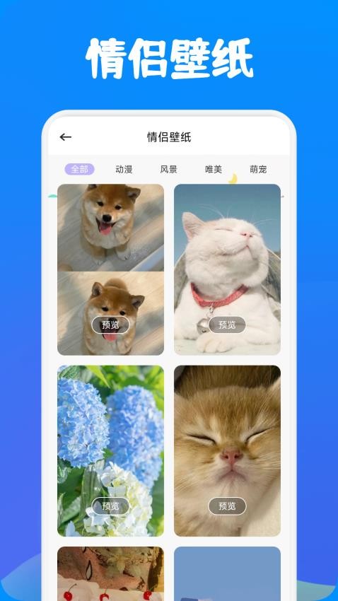 BlueSky聊天最新版v1.1 2