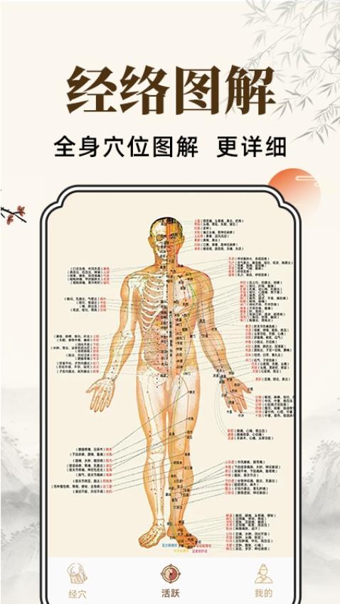 穴位经脉详解最新版v1.0.1 3