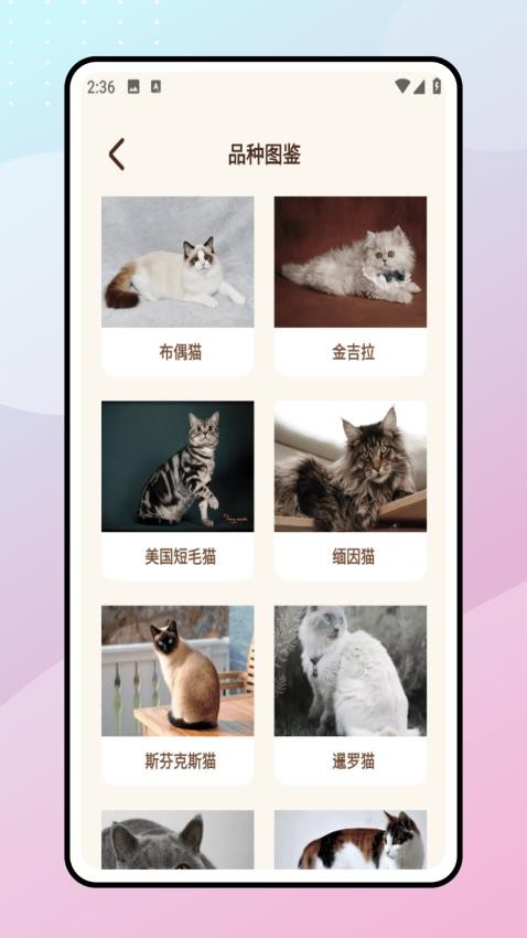 Peppycat宠物翻译器手机版v1.0.1(4)