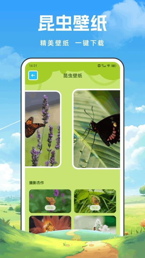 蝙蝠助手官方版v1.0.1 2