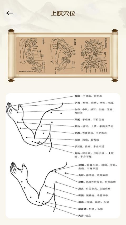 倪海厦经络穴位图释官网版v1.1 3