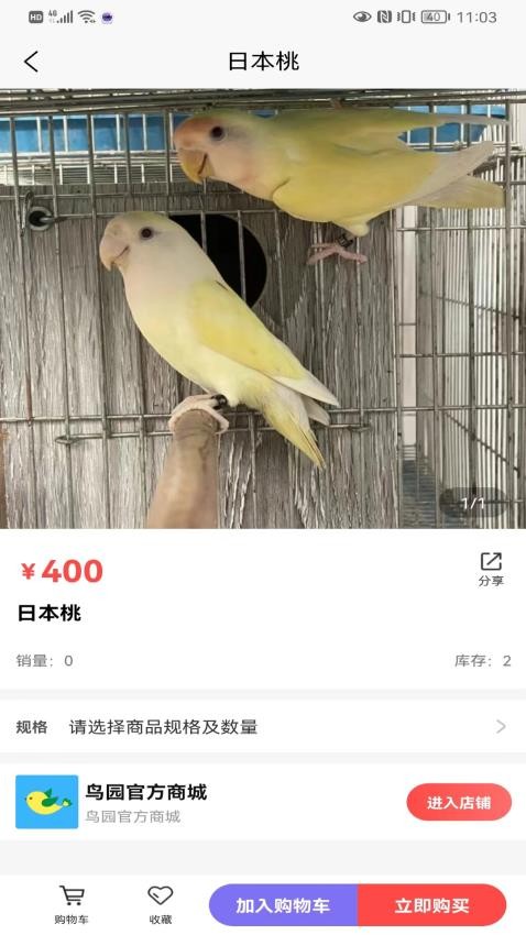 鳥園最新版v4.0.0 3