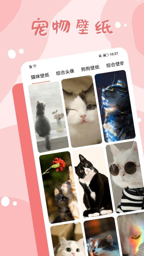 猫宝翻译器手机版v1.1(1)