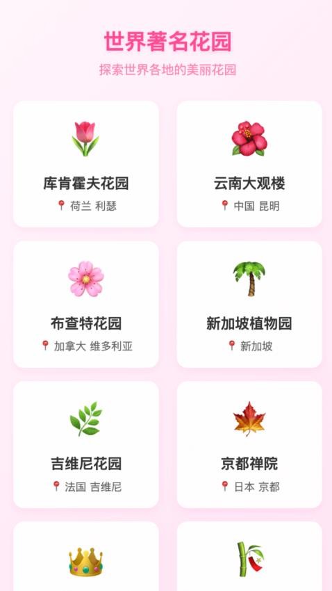 繁花绽放最新版v1.0.2.2422412941615 1