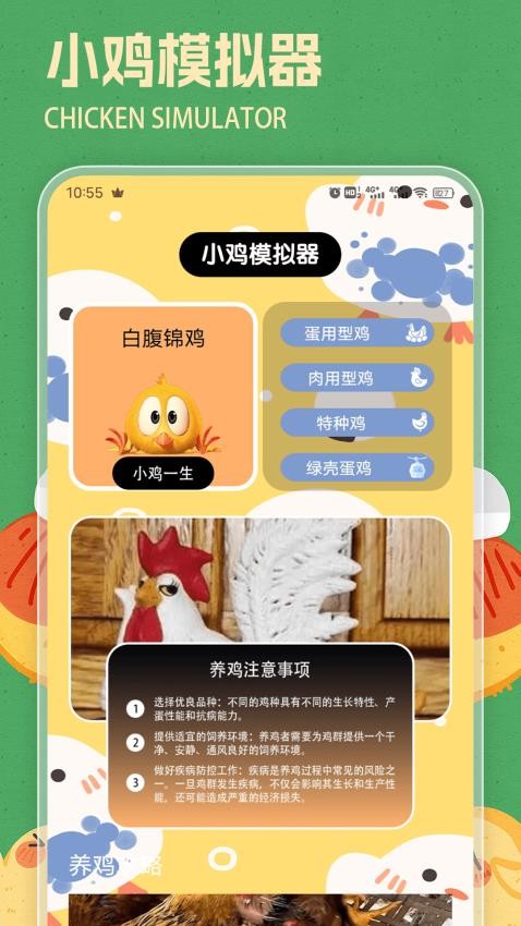 小鸡模拟手机版