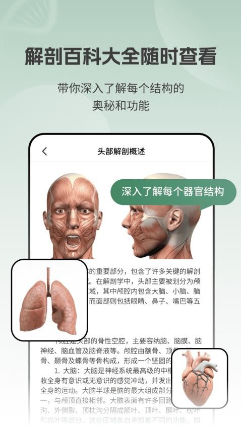 解剖模型Body最新版(3)