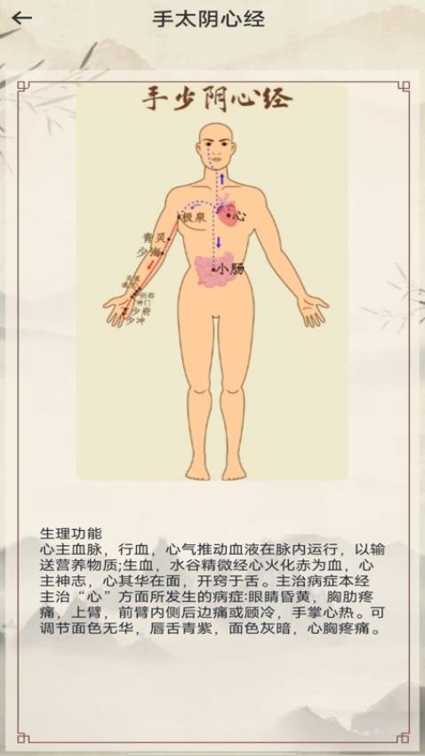 中医经络穴位图解最新版v1.0.0(3)