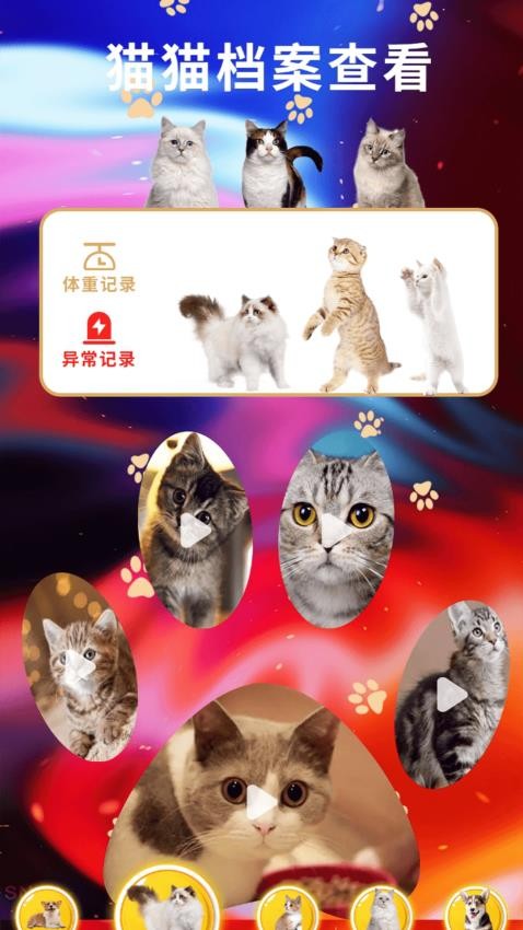 遇见我的猫翻免费版v1.3(4)