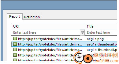 Cyotek WebCopy(网站下载工具)