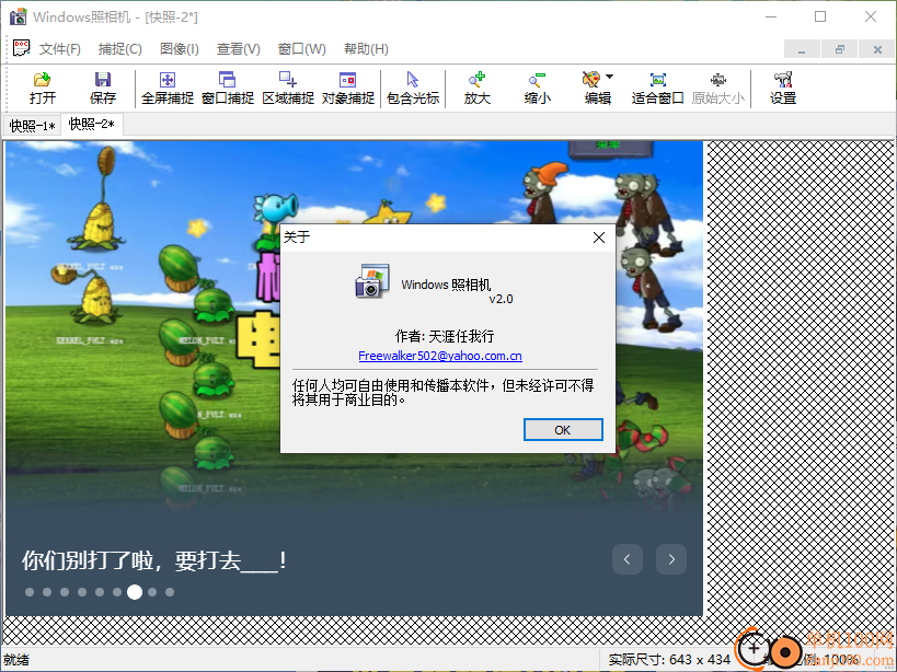 Windows照相机