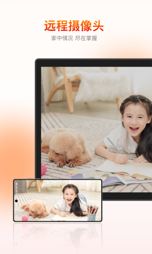 向日葵被控端appv6.6.4.68602 1