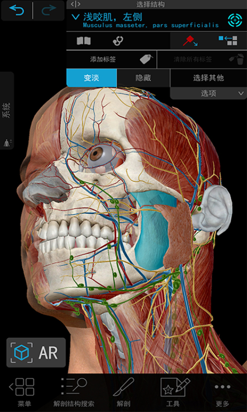 人体解剖3D教学appv2.3 2