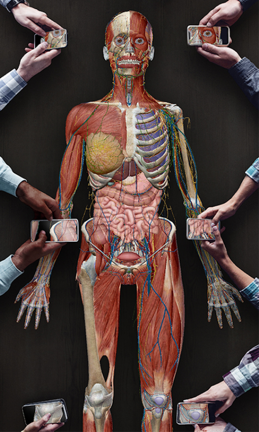 人体解剖3D教学app