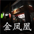 孙美琪疑案金凤凰游戏
