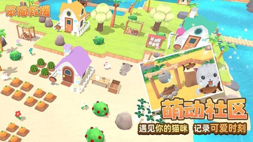 笨猫救援游戏v1.0 3