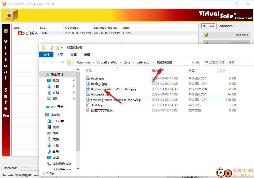 Virtual Safe Professional(文件加密工具)