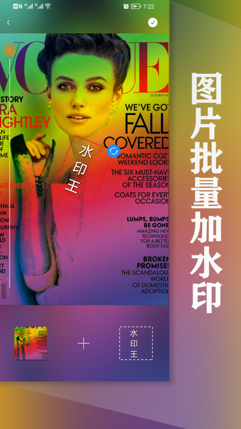水印王手机版