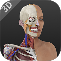 医用人体解剖最新版 v3.0.5.3