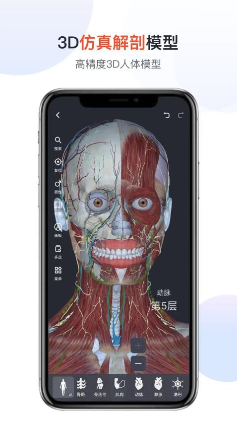医用人体解剖最新版