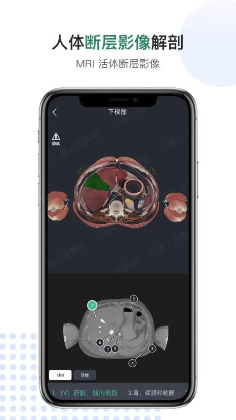 医用人体解剖最新版v3.0.5.3 1