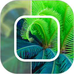 模糊照片修复软件 v24.8.24