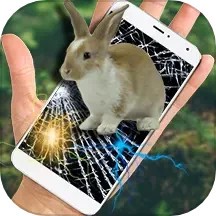 整人神器app