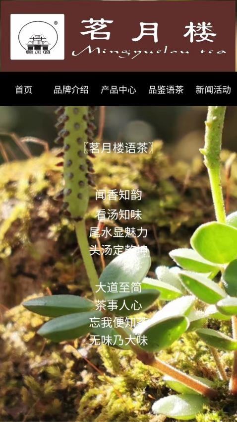 茗月楼茶业官方版v1.0.1(4)