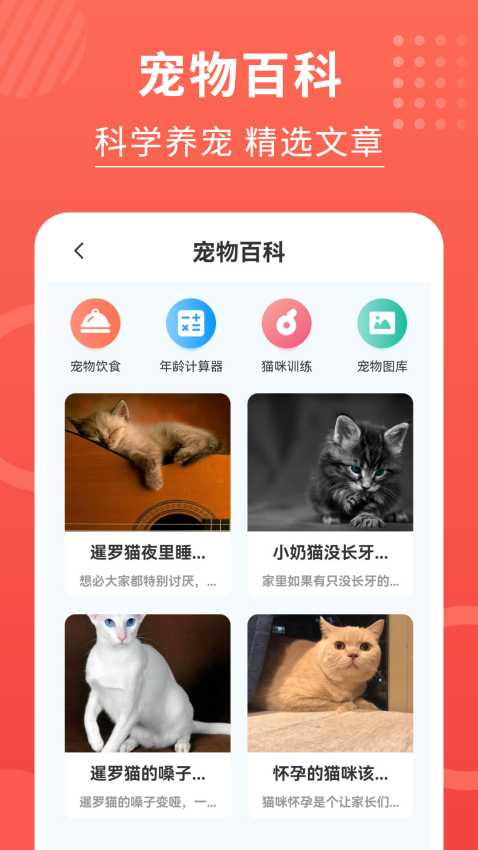 貓貓翻譯器軟件
