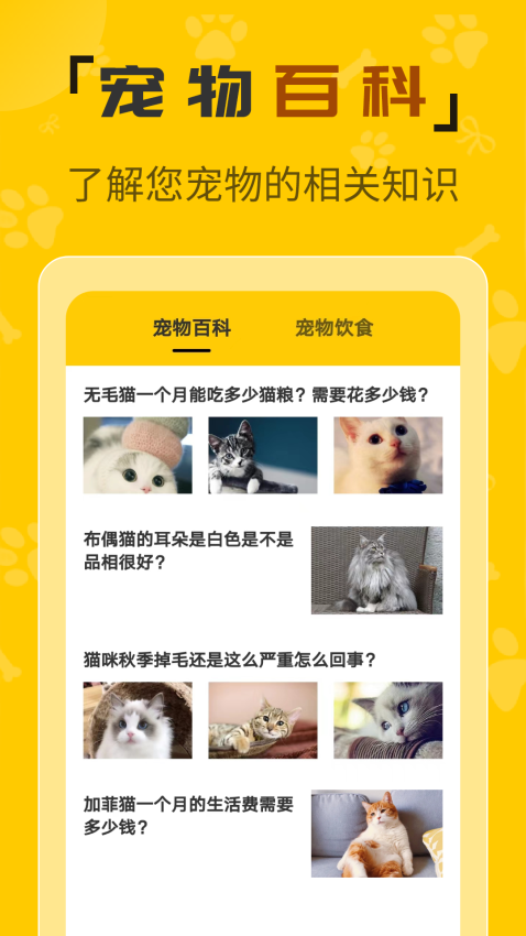 人貓翻譯機(jī)最新版