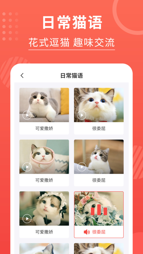 貓貓翻譯器軟件v3.2.8 5