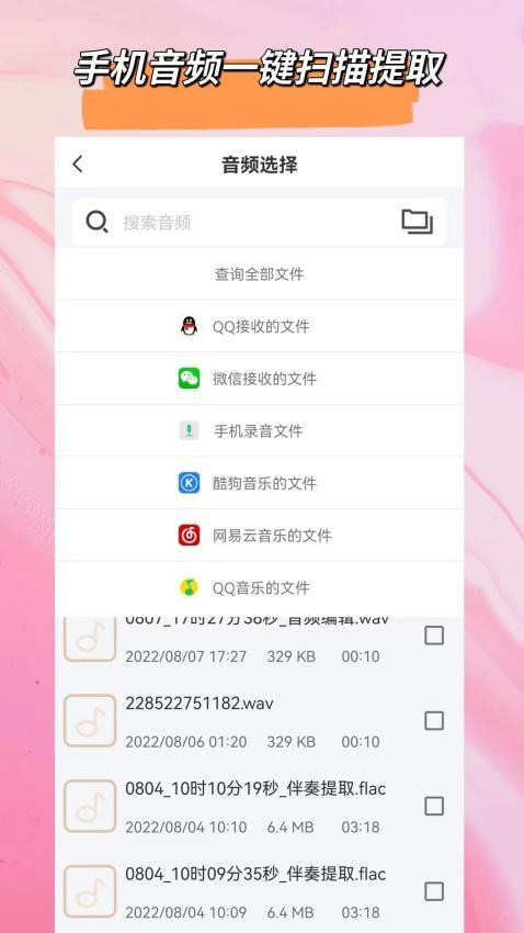 音頻格式大師appv2.0.0 3