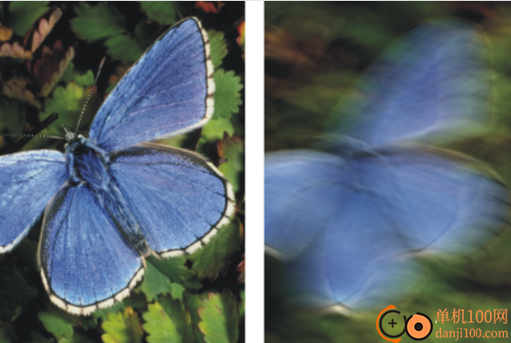 Corel Painter 2023中文版(数字绘画软件)